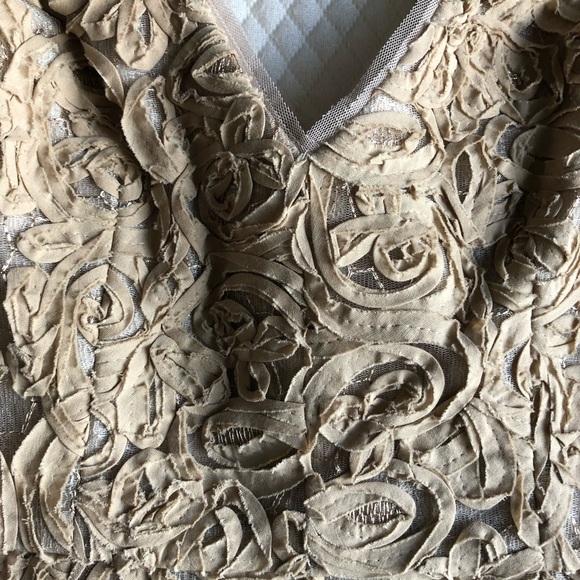 BCBG MAXAZRIA Marissa Champagne Dress - Picture 3 of 5